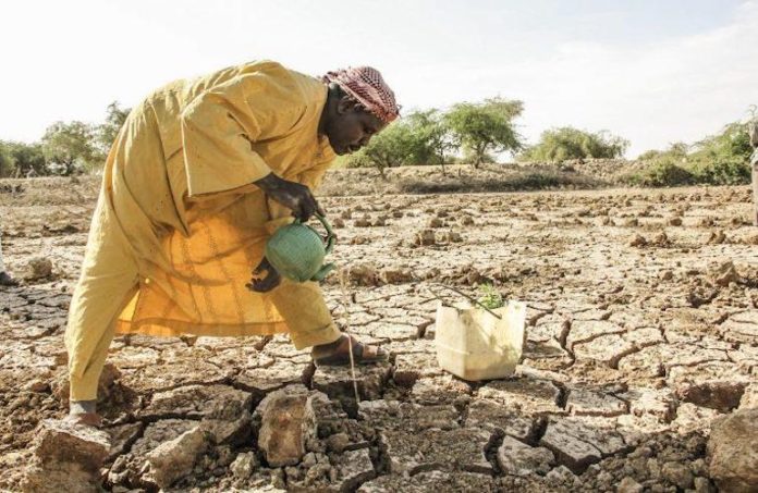 siccità in Ciad