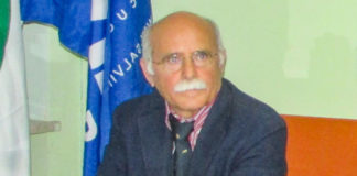 Luigi Campanella