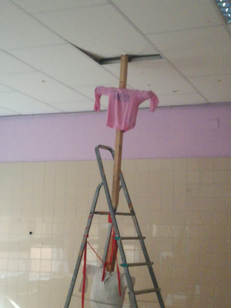 i vandali hanno preso di mira la Primo levi 