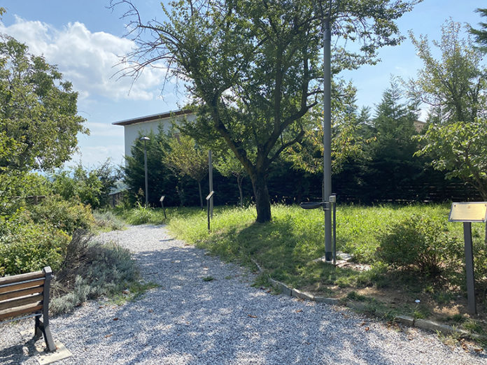 Verde pubblico degrado