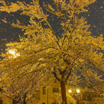 Nevicata a Fossano