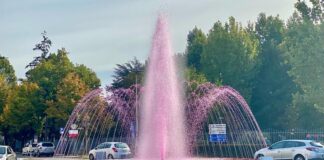 Fontana rosa
