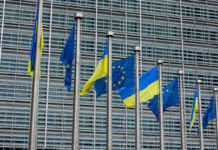 Ucraina Parlamento Europeo, Bandiere Europea e Ucraina
