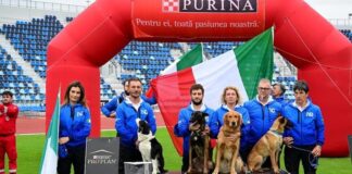 Mondiali Romania cani da ricerca