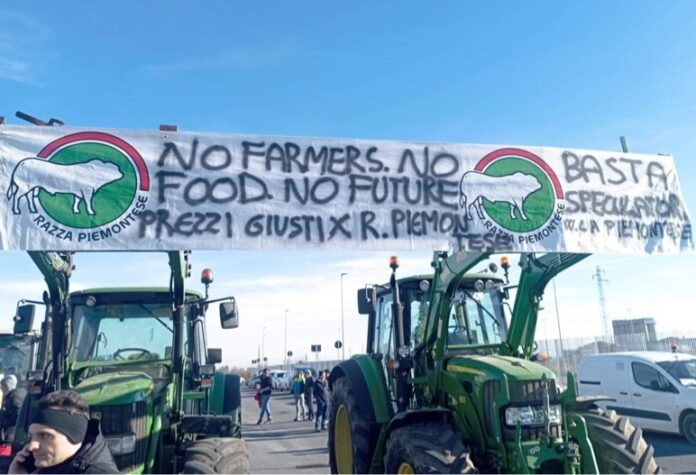 trattori in piazza al miac