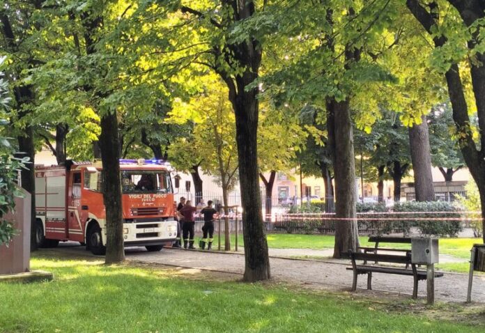 Vigili Del Fuoco Vespe