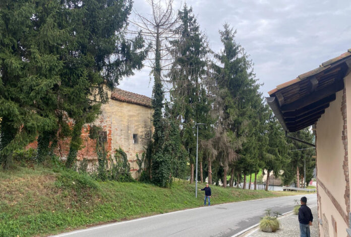 I pini di Boschetti I pini di Boschetti