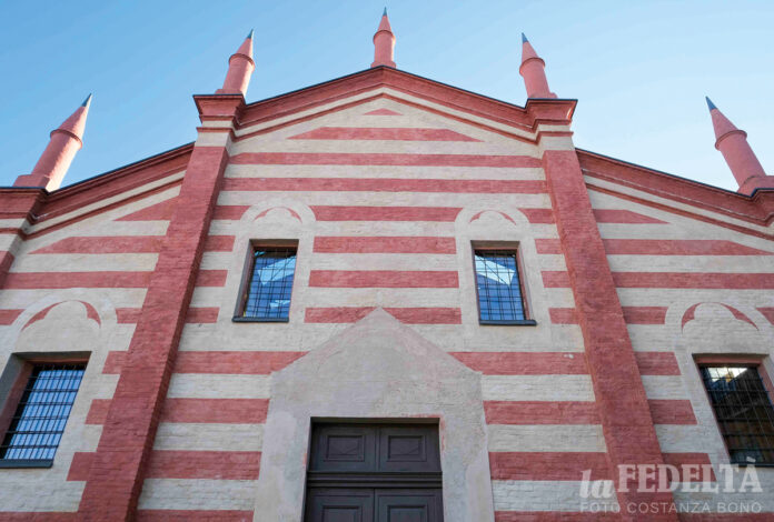 Salice vecchio Salice vecchio