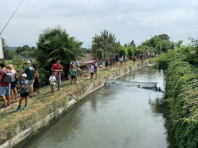 Pesca Memorial Martini MP02