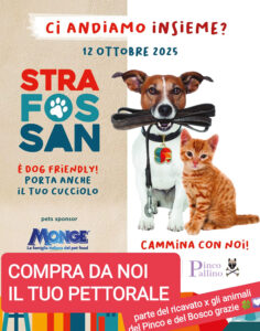 Pinco Pallino Strafossano