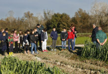 Le scuole nella valle dei porri Cervere Porro Fiera Scuola In Valle03