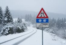 Neve in arrivo il 21 novembre: massima prudenza sulle strade e obbligo di dotazioni invernali Nevicata Strada Sdrucciolevole