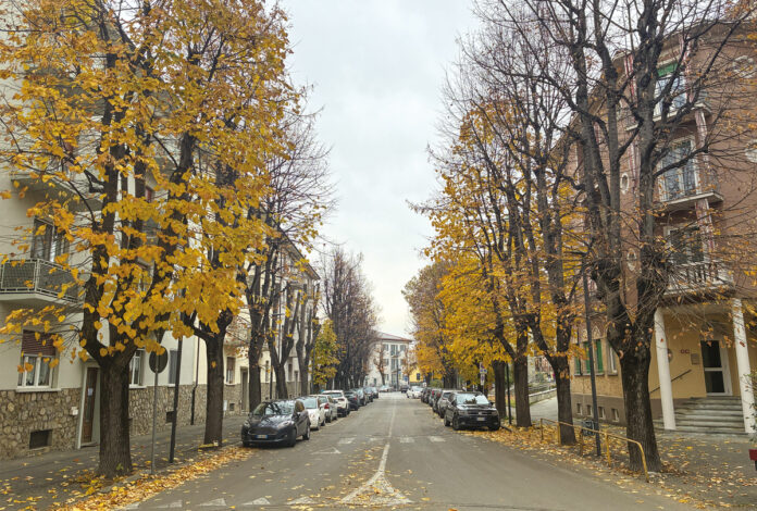 Le alberate di corso Cristoforo Colombo Le alberate di corso Cristoforo Colombo