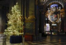 Acceso l’albero di Natale nel Duomo a Fossano Cattedrale Albero Di Natale 2025