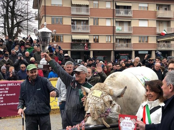 Bue Grasso - una precedente edizione